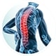 spine img services